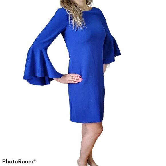 Eliza J Boat neck Blue Bell Sleeve Shift Dress - Picture 3 of 4